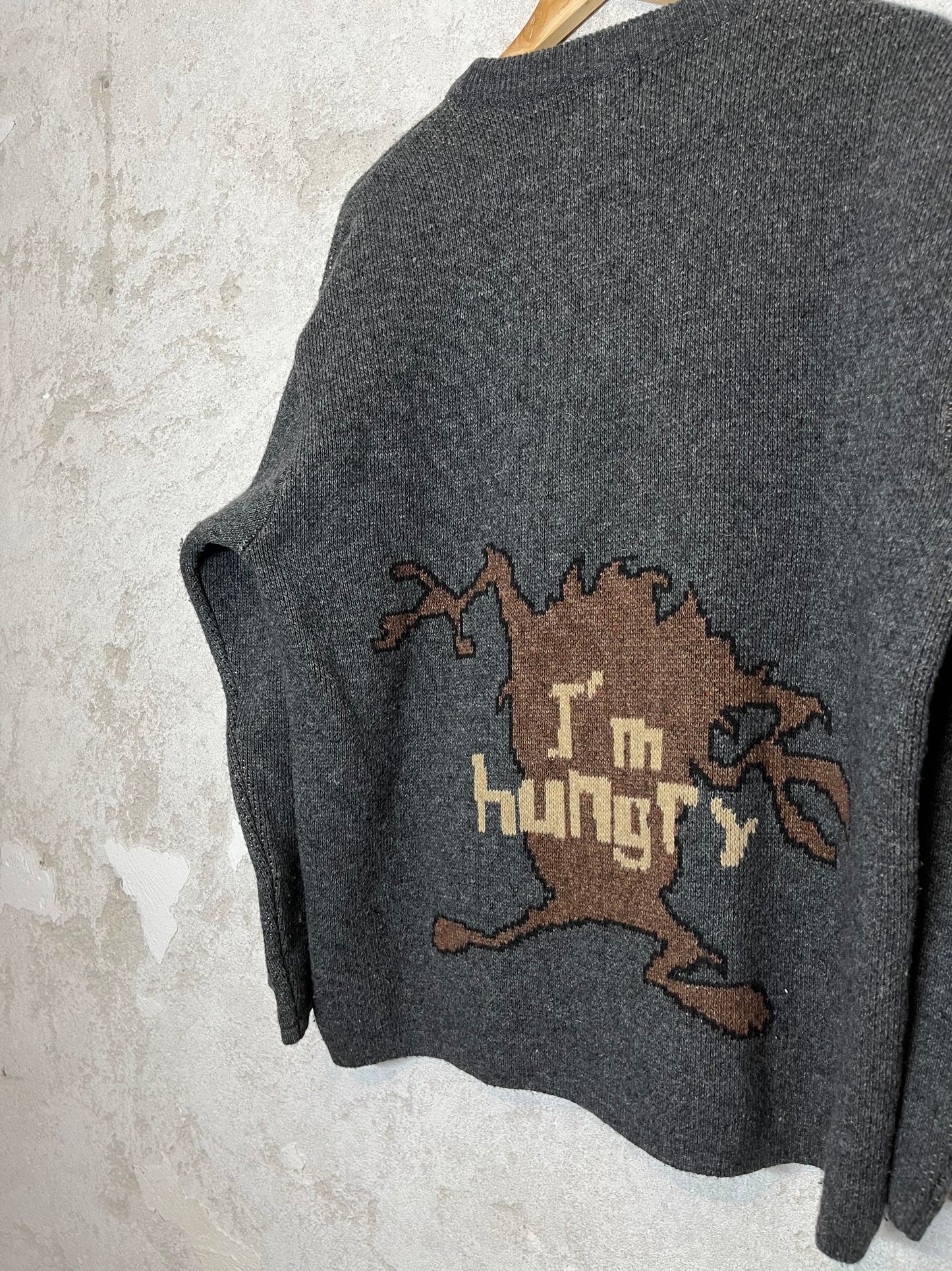 Looney Tunes Taz vintage heavy knit collectors 90s 2000s sweater